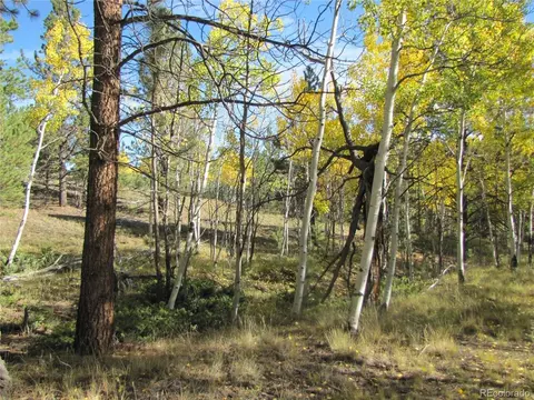 700 Campfire Rd, Hartsel, CO 80449 photo 13