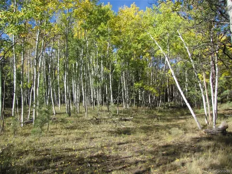 700 Campfire Rd, Hartsel, CO 80449 photo 8