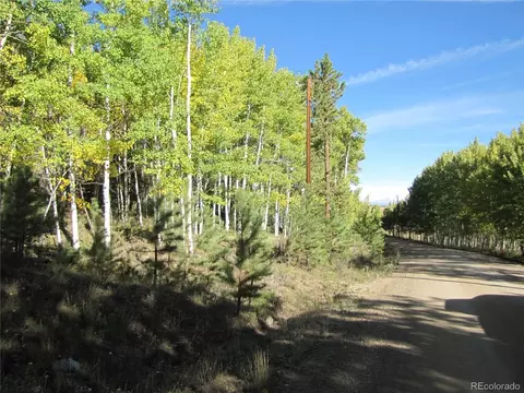 700 Campfire Rd, Hartsel, CO 80449 photo 4