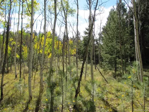 700 Campfire Rd, Hartsel, CO 80449 photo 10