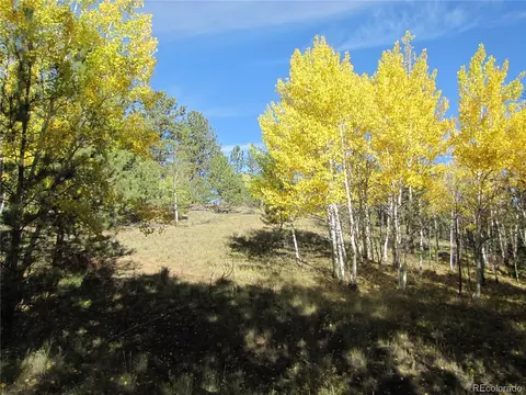 700 Campfire Rd, Hartsel, CO 80449 photo 6