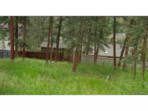 Spruce Rd, Evergreen, CO 80439 photo 2