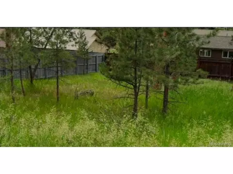 Spruce Rd, Evergreen, CO 80439 photo 6