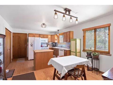 241 Range View Dr, Bailey, CO 80421 photo 4