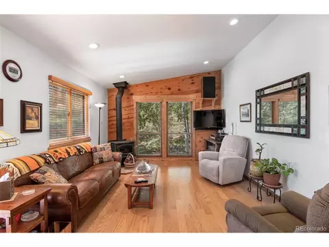 241 Range View Dr, Bailey, CO 80421 photo 5