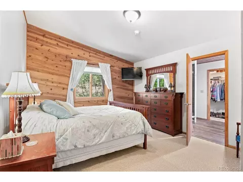 241 Range View Dr, Bailey, CO 80421 photo 8