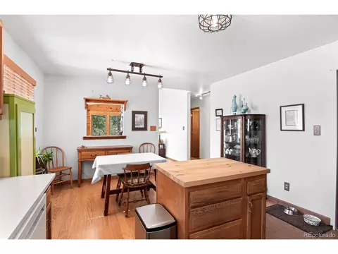 241 Range View Dr, Bailey, CO 80421 photo 3