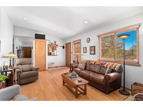 241 Range View Dr, Bailey, CO 80421 photo 6