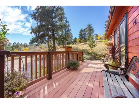 241 Range View Dr, Bailey, CO 80421 photo 21