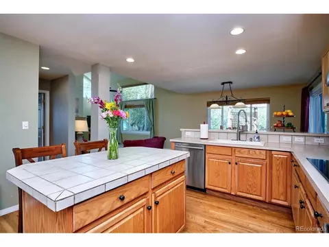 18192 E Weaver Ave, Aurora, CO 80016 photo 7