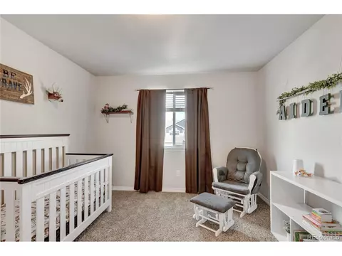 13197 Park Meadows Dr, Peyton, CO 80831 photo 24