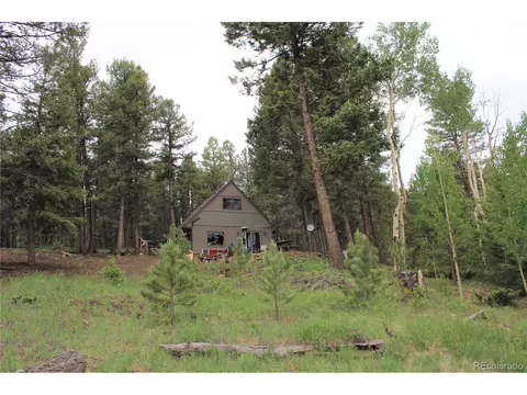3911 Campfire Rd, Hartsel, CO 80449 photo 2