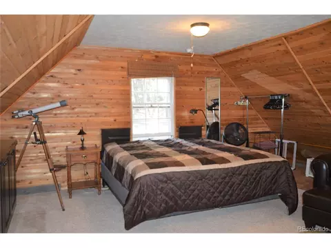 3911 Campfire Rd, Hartsel, CO 80449 photo 28