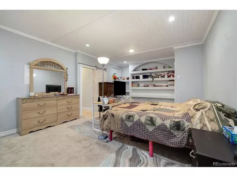 8121 E 132nd Ave, Thornton, CO 80602 photo 29