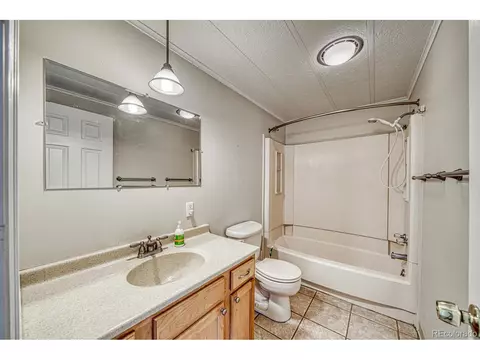 236 Boreen Way, Howard, CO 81233 photo 20
