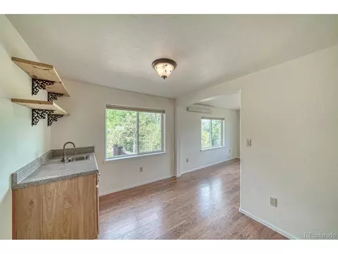 236 Boreen Way, Howard, CO 81233 photo 21