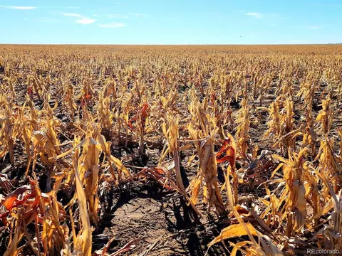 tbd County Rd, Walsh, CO 81090 photo 9