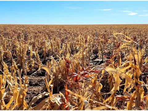 tbd County Rd, Walsh, CO 81090 photo 12