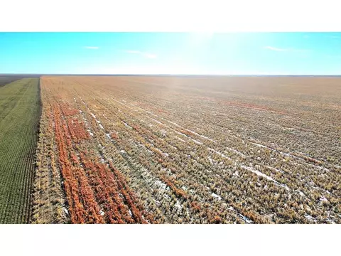 tbd County Rd, Walsh, CO 81090 photo 6