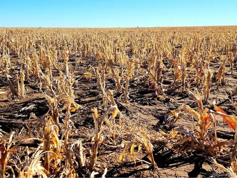 tbd County Rd, Walsh, CO 81090 photo 14