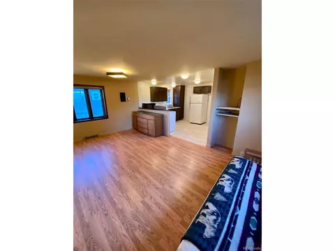 170 E Jasper Ave, Granby, CO 80446 photo 5