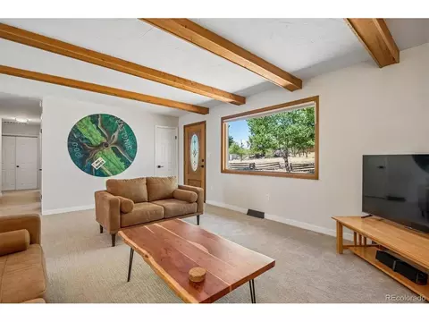 Living - 13258 S Mohawk St, Pine, CO 80470 photo 2 of 2