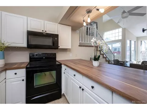 21154 E Scott Pl, Denver, CO 80249 photo 5