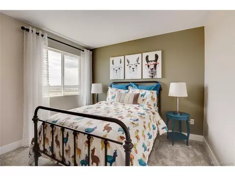 6563 E 117th Ct, Thornton, CO 80233 photo 21