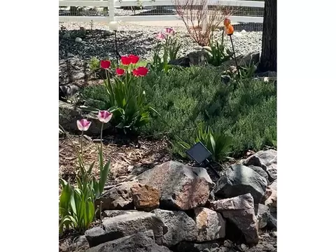 6960 Eagle Shadow Ave, Brighton, CO 80602 photo 34