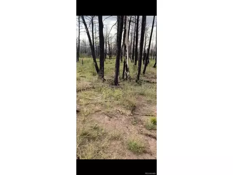 1386 Emery Loop, Fort Garland, CO 81133