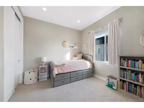 9151 E 33rd Ave, Denver, CO 80238 photo 27