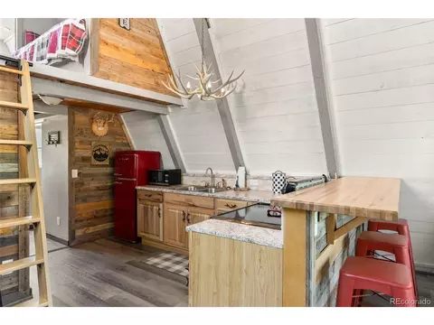 167 Hall Rd, Bailey, CO 80421 photo 10