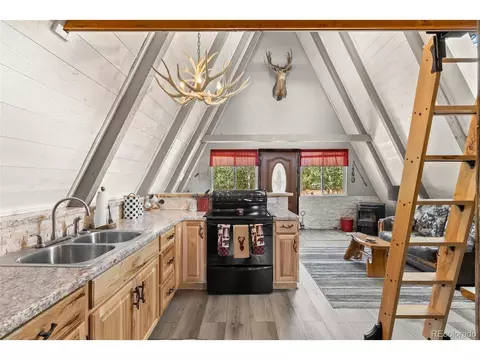 167 Hall Rd, Bailey, CO 80421 photo 12
