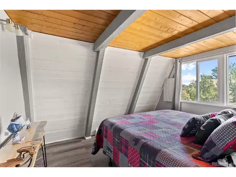 167 Hall Rd, Bailey, CO 80421 photo 13