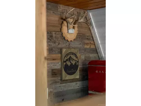 167 Hall Rd, Bailey, CO 80421 photo 24