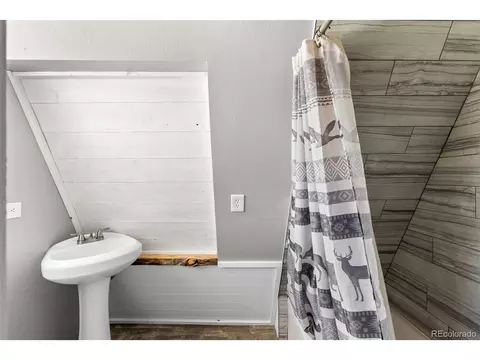 167 Hall Rd, Bailey, CO 80421 photo 15