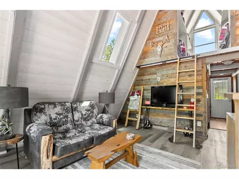 167 Hall Rd, Bailey, CO 80421 photo 7