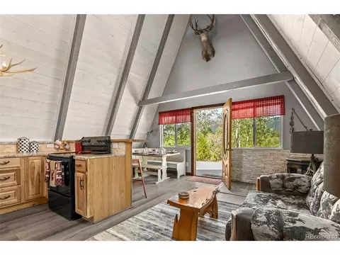 167 Hall Rd, Bailey, CO 80421 photo 8