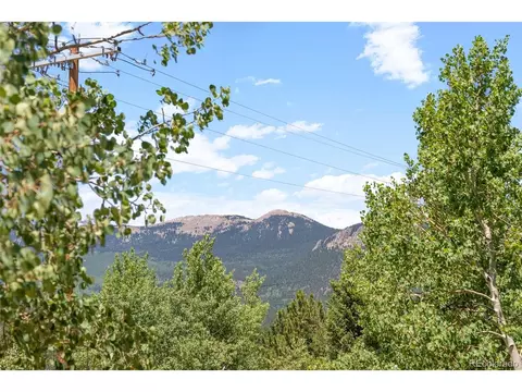 167 Hall Rd, Bailey, CO 80421 photo 27