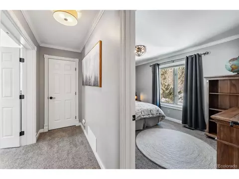30 Grey Fox Ln, Dillon, CO 80435 photo 29