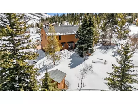 30 Grey Fox Ln, Dillon, CO 80435 photo 49