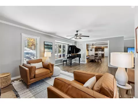30 Grey Fox Ln, Dillon, CO 80435 photo 8
