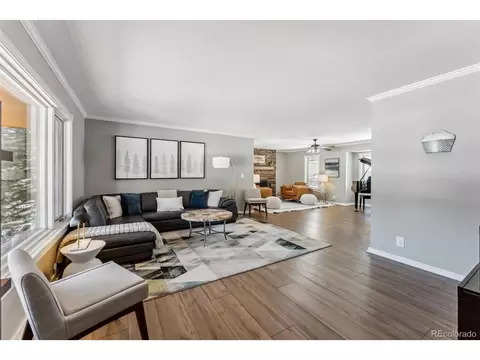 30 Grey Fox Ln, Dillon, CO 80435 photo 4