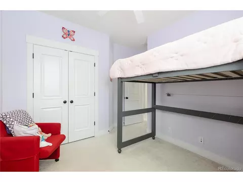 8768 E 54th Pl, Denver, CO 80238 photo 22