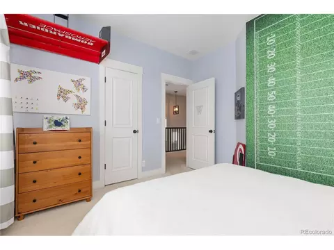8768 E 54th Pl, Denver, CO 80238 photo 24
