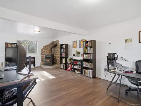 Other - 209 Pine Dr, Bailey, CO 80421 photo 7 of 15
