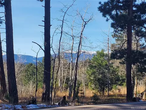 Richmond Hill Rd, Conifer, CO 80433 photo 3