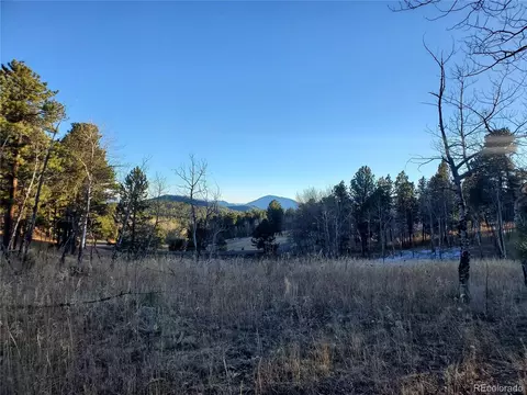 Richmond Hill Rd, Conifer, CO 80433 photo 5