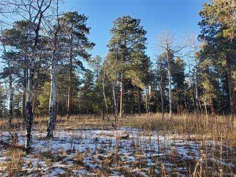 Richmond Hill Rd, Conifer, CO 80433 photo 14