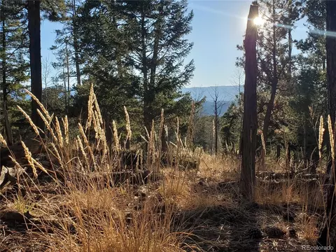 Richmond Hill Rd, Conifer, CO 80433 photo 7